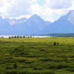 Wired Science | The Psychology of Nature