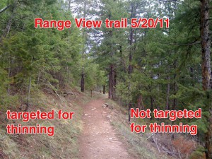 Boulder Reporter | Flagstaff tree thinning: threat level still high Boulder Reporter | Flagstaff tree thinning: threat level still high