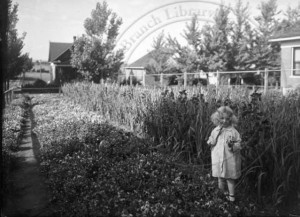 Extending Boulder’s Urban Farming Heritage Extending Boulder’s Urban Farming Heritage
