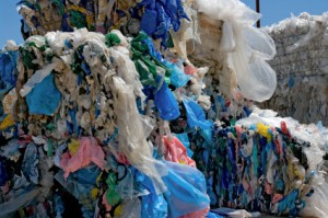 41 Million Plastic Bags