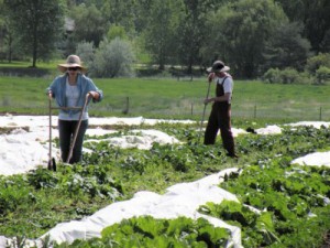The Citizens’ Cropland Policy The Citizens’ Cropland Policy