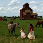 Utne Reader | Shifting Prospects for a New Farm Bill