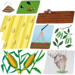 NYTimes.com | A Simple Fix for Farming
