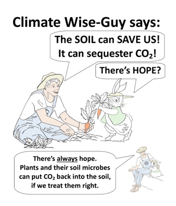 Image courtesy Elizabeth Black