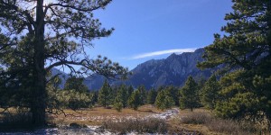 OSMP to Expand Voice and Sight Program to All 5 Senses OSMP to Expand Voice and Sight Program to All 5 Senses