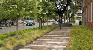 Huffington Post | Greening Our Streets